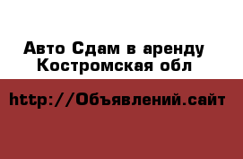 Авто Сдам в аренду. Костромская обл.